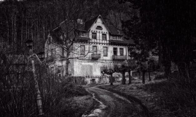 Escape room versus scare house