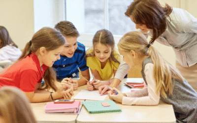Extraordinary attractions for day camps