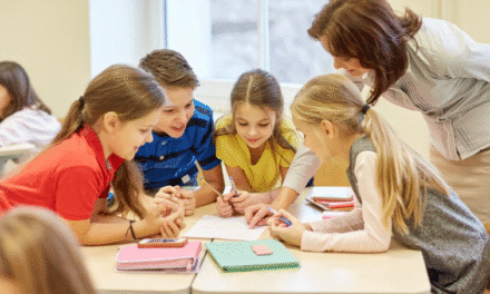 Extraordinary attractions for day camps