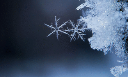 What to do during the winter break?-Escape Room in Kraków