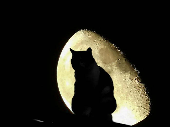 Magiczna skrzynia skarbów z fioletową poświatą